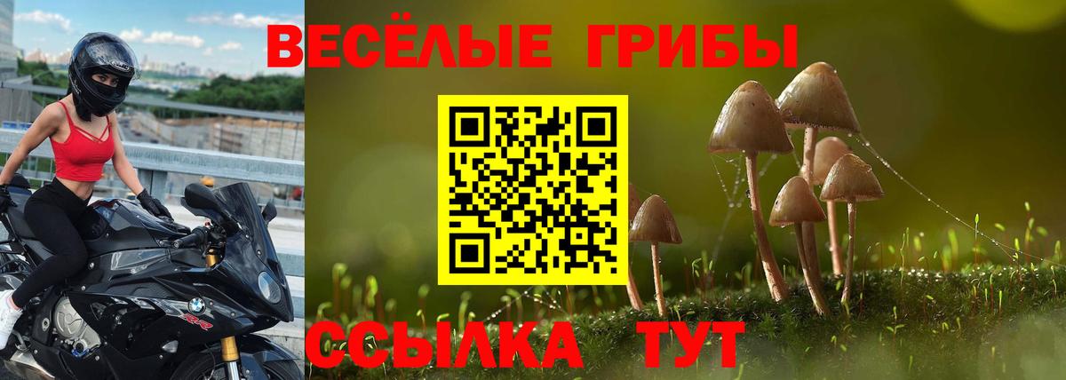 Галлюциногенные грибы MAGIC MUSHROOMS Россия