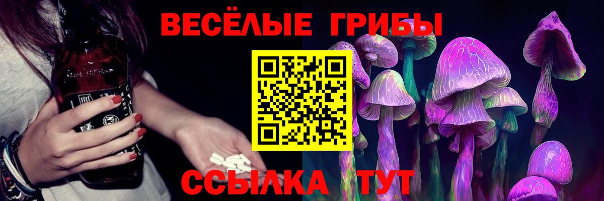 Россия  Галлюциногенные грибы GOLDEN TEACHER  Вход с VPN 
