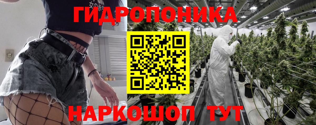 Конопля Amnesia  Канабис гибрид  Вход с VPN  Бошки Шишки марихуана  Россия 